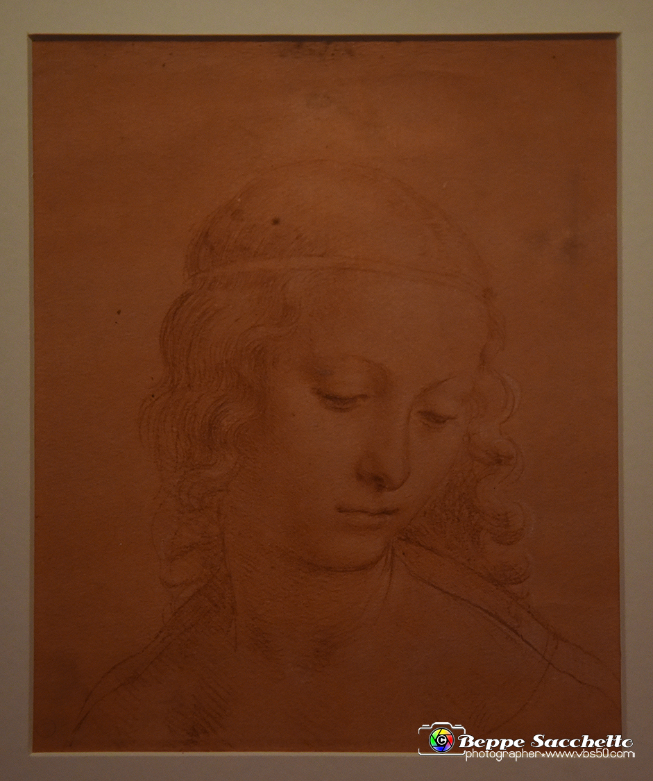 VBS_9734 - Mostra A tu per tu con Leonardo.jpg